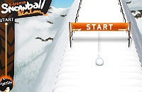 X-Treme Snowball Slalom